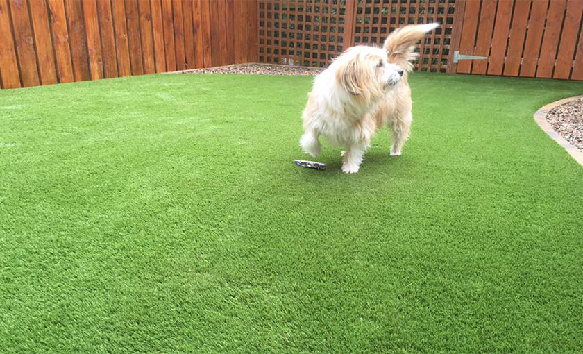 artificial-grass-for-pets-4