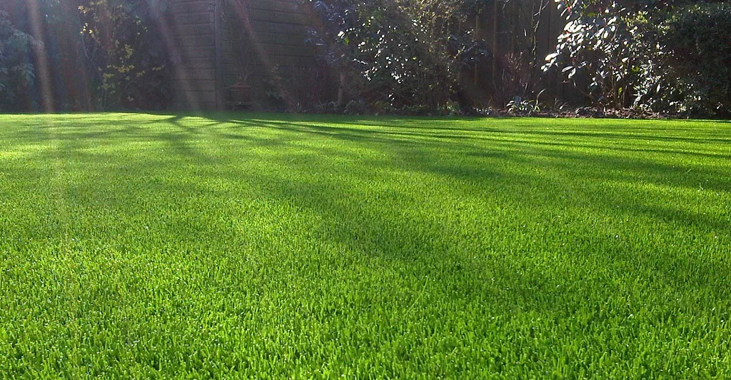 Heat Management in Artificial Grass